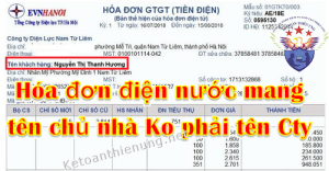 hoa don t 637166875281219919