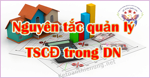 nguyen ta 637057174758867227