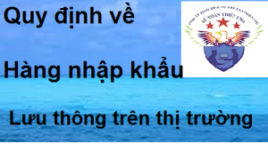 quy20dinh20ve20hang20nhap20khau20luu20thong20tren20thi20truong